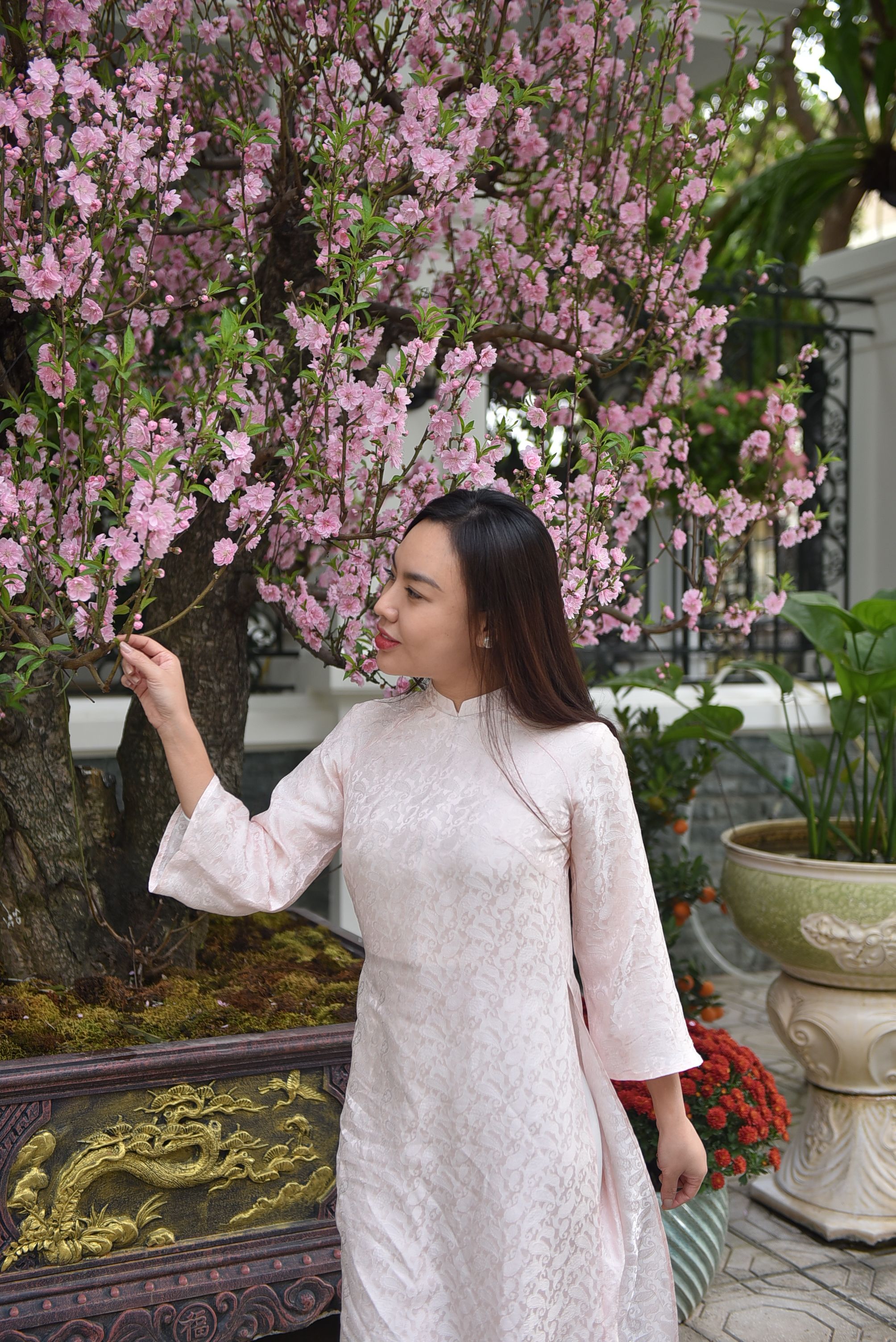 Young woman in traditional dress admiring cherry blossoms outdoors.