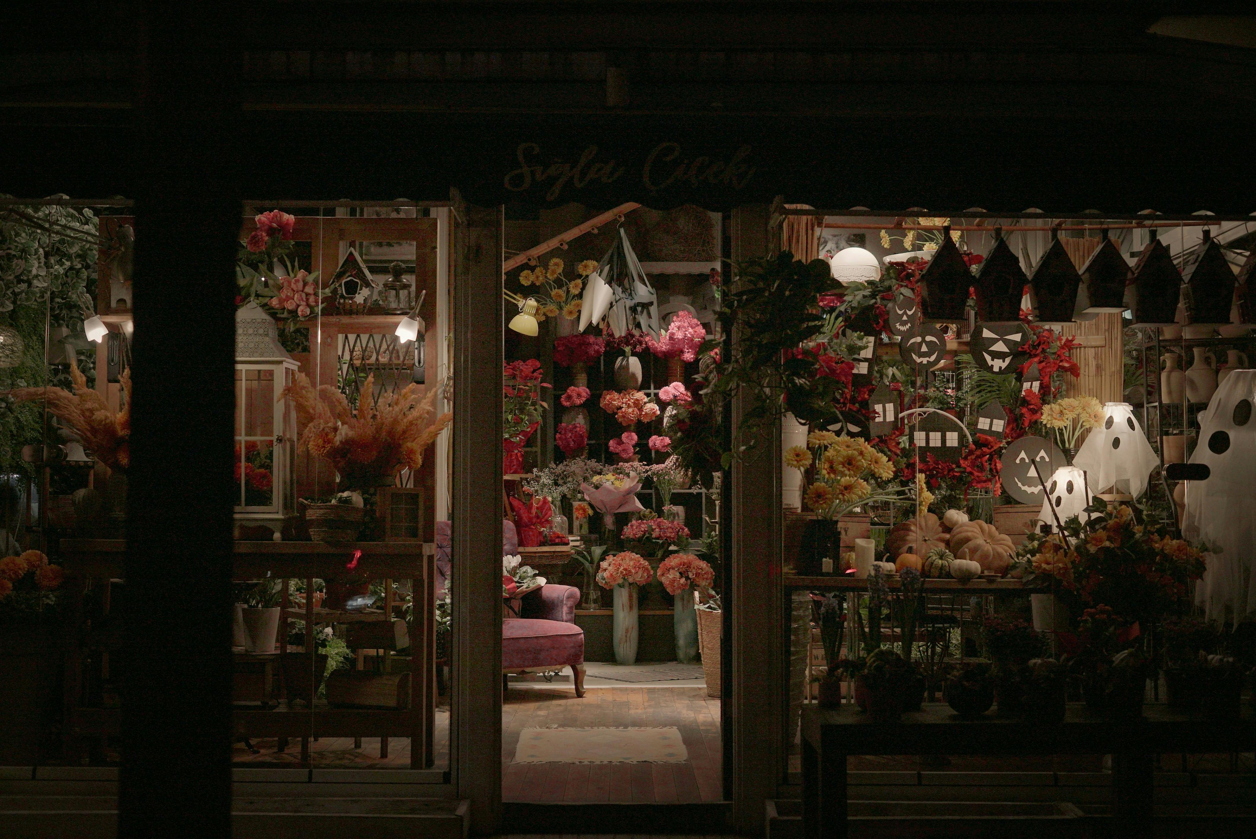 Charming flower shop in Istanbul adorned with vibrant blooms and cozy lighting.