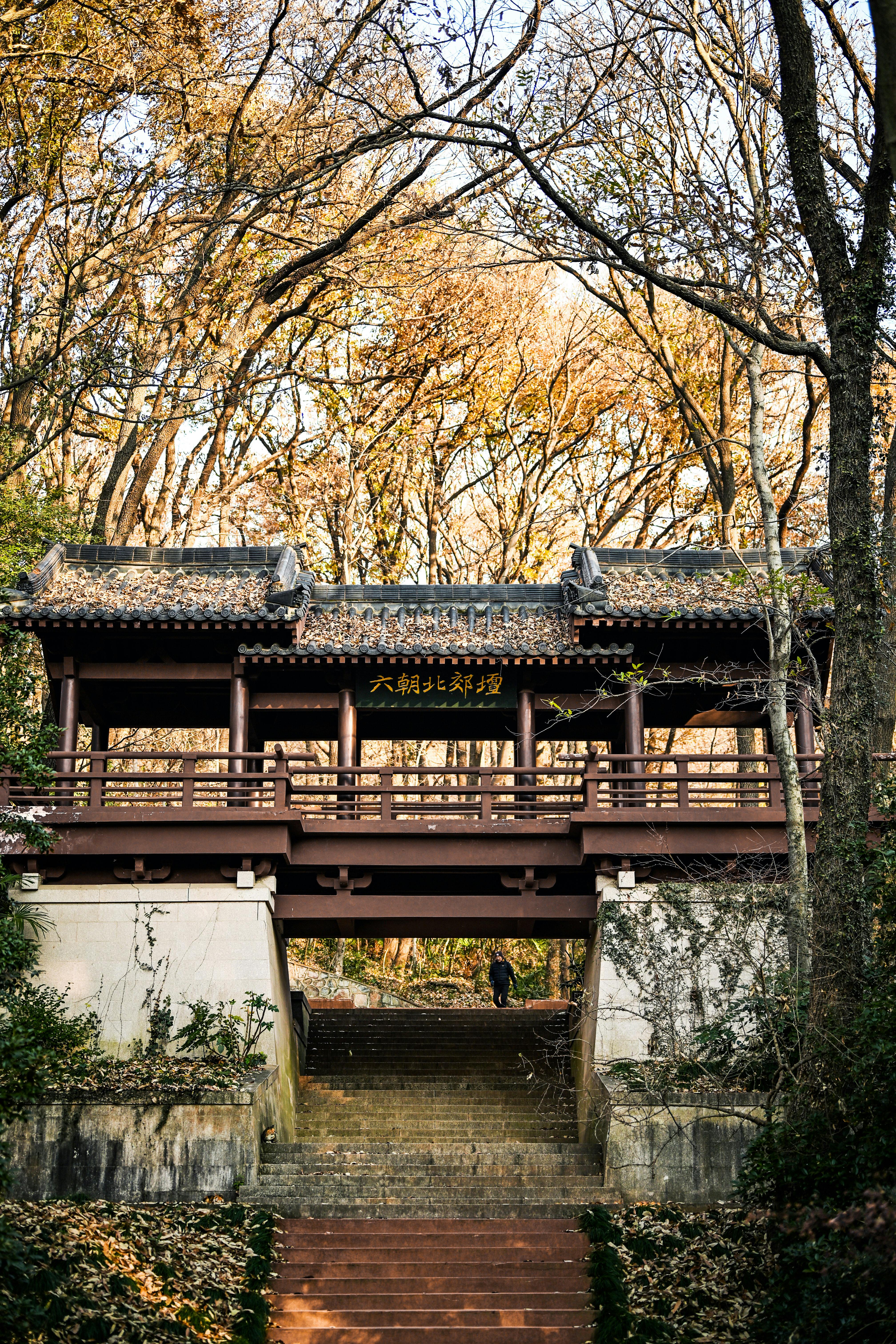 Scenic view of a traditional Chinese bridge surrounded by autumn foliage in Nanjing, China.