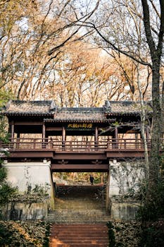 Scenic view of a traditional Chinese bridge surrounded by autumn foliage in Nanjing, China.