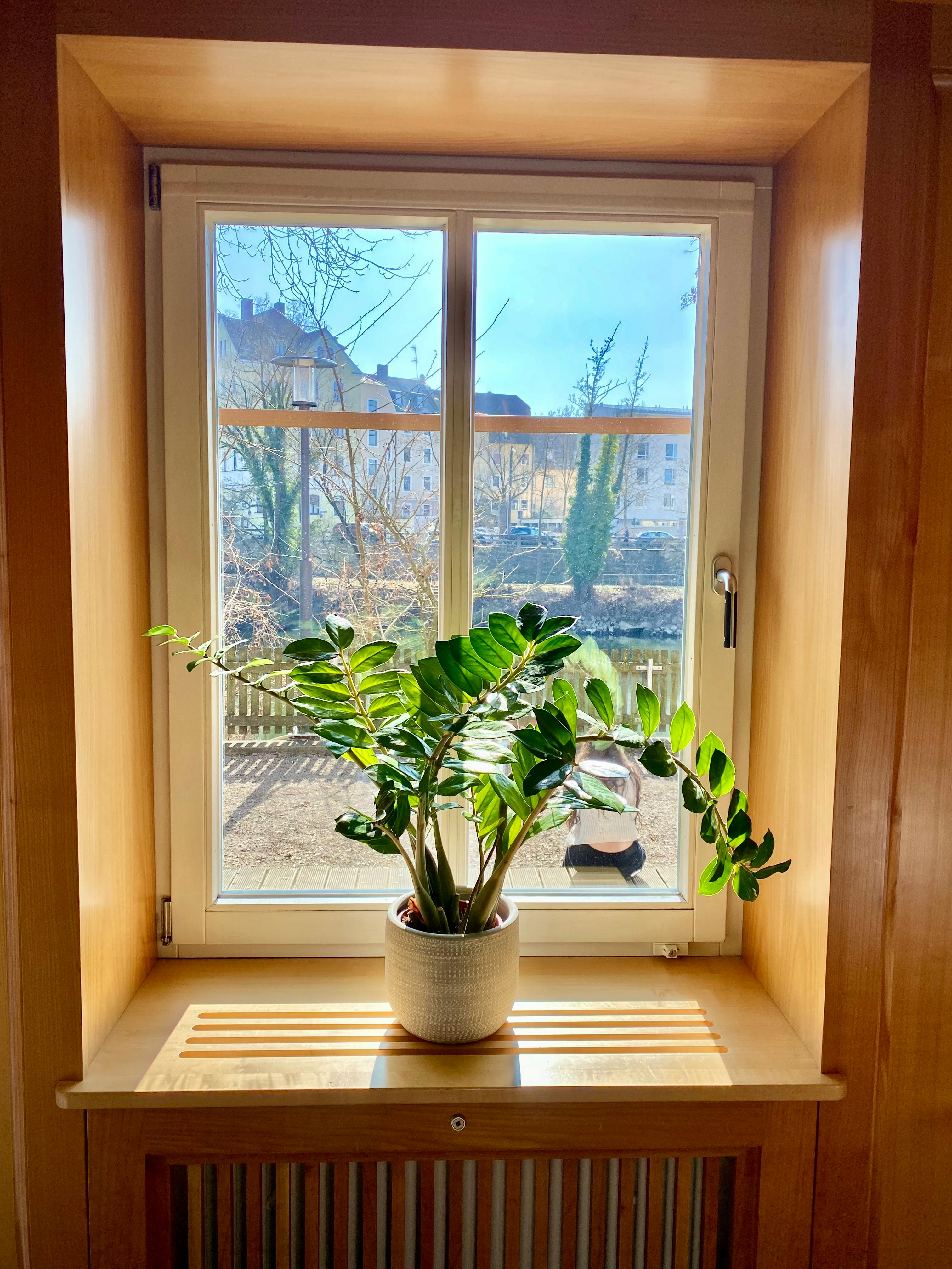 Leaking Radiator Photos, Download The BEST Free Leaking Radiator Stock