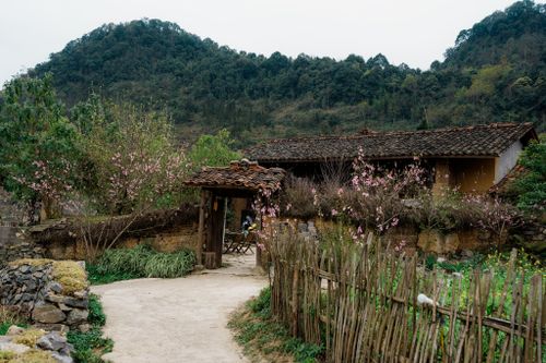 Free Rustic traditional house surrounded by flowering trees in a serene countryside setting. Stock Photo