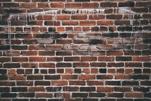 Free Close-up Photography of a Wall Stock Photo