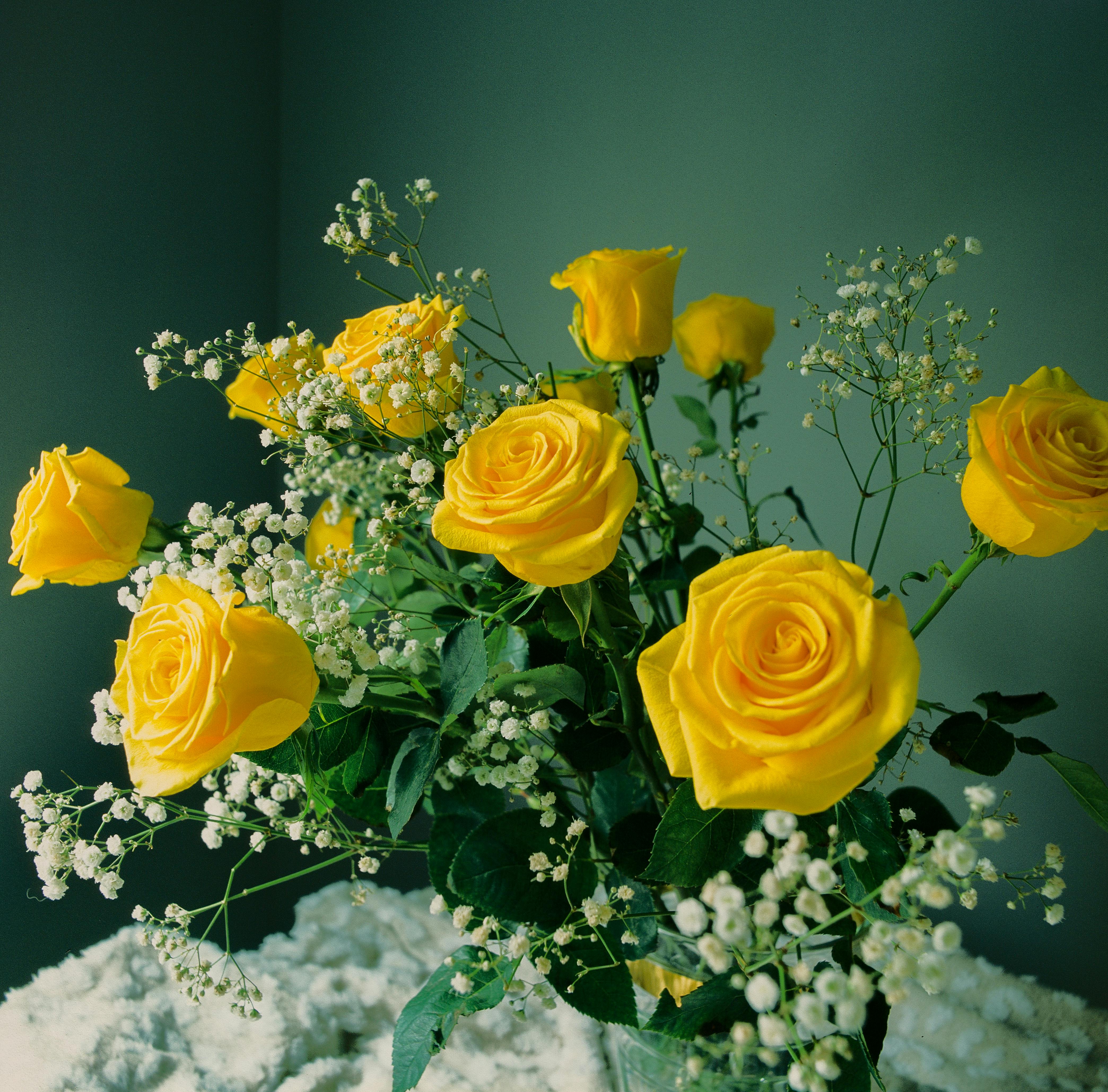 A beautiful floral arrangement of yellow roses and white baby's breath creating a bright and cheerful display.