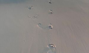 Destin, Florida