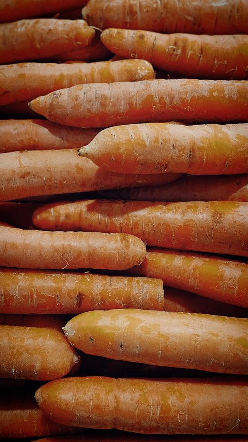 Free Close-up of fresh organic carrots piled together, showcasing texture and color. Stock Photo