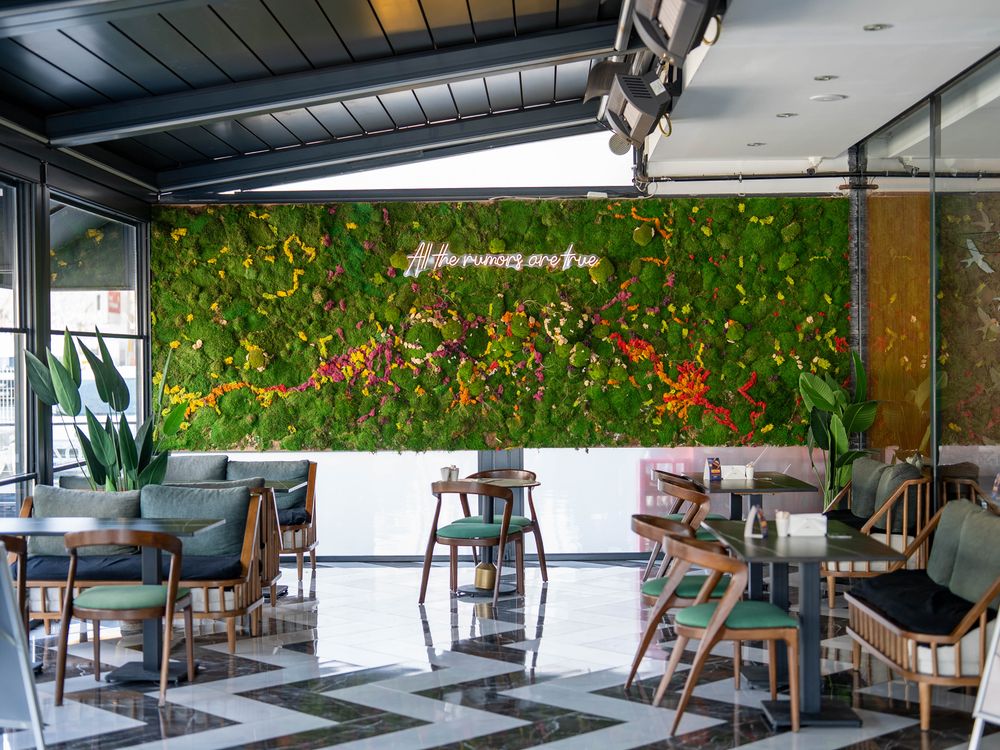 Colorful Indoor Cafe with Green Living Wall · Free Stock Photo
