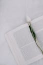 Open Book with White Tulip on White Fabric