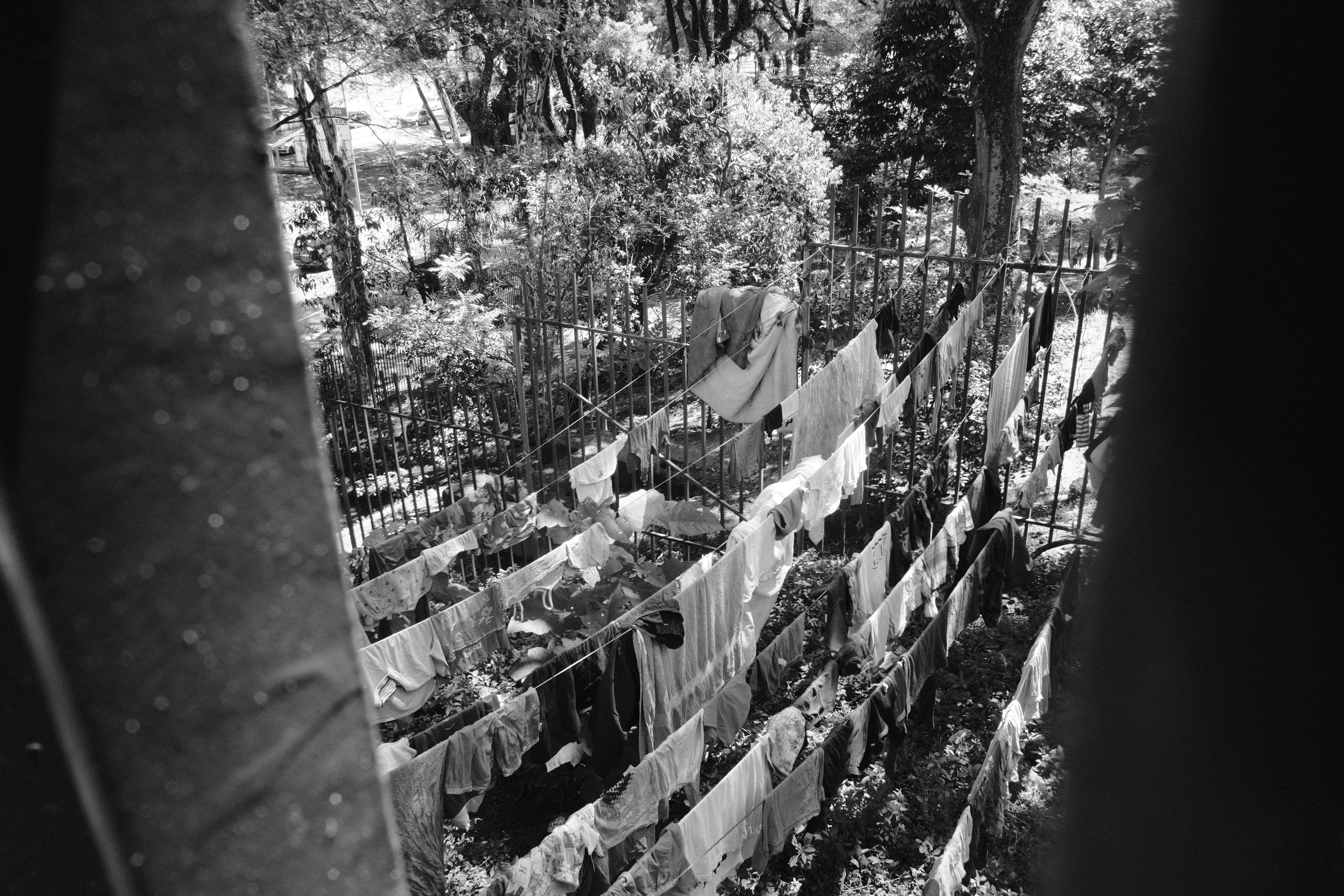 Grayscale image of clothes drying on lines in a wooded area.