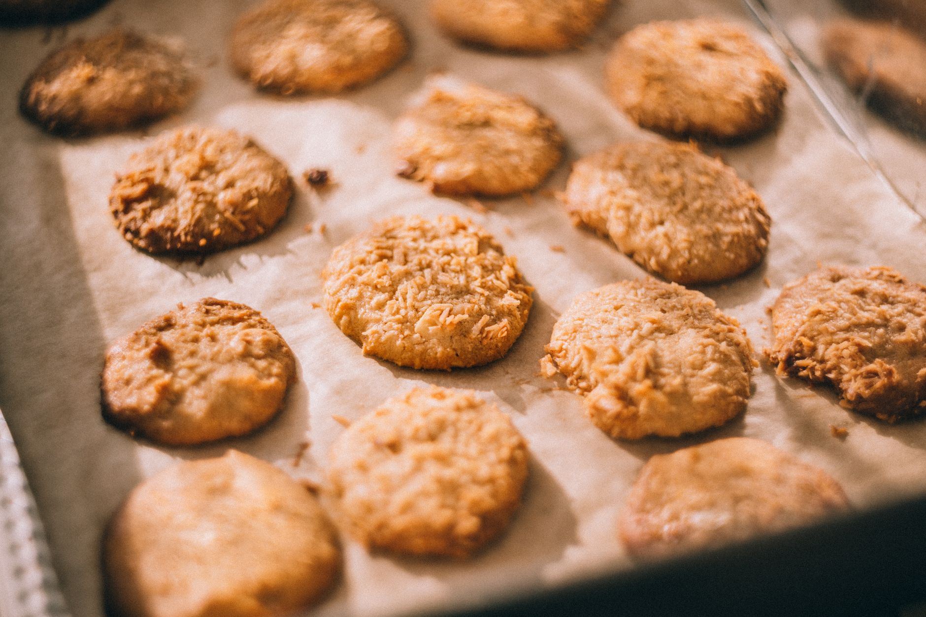 Close up of thinnish chocolate chip cookies on a cooling rack