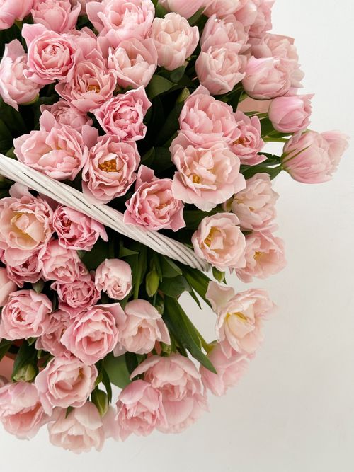 Free Beautiful bouquet of soft pink roses arranged in a white basket, perfect for enhancing any space. Stock Photo