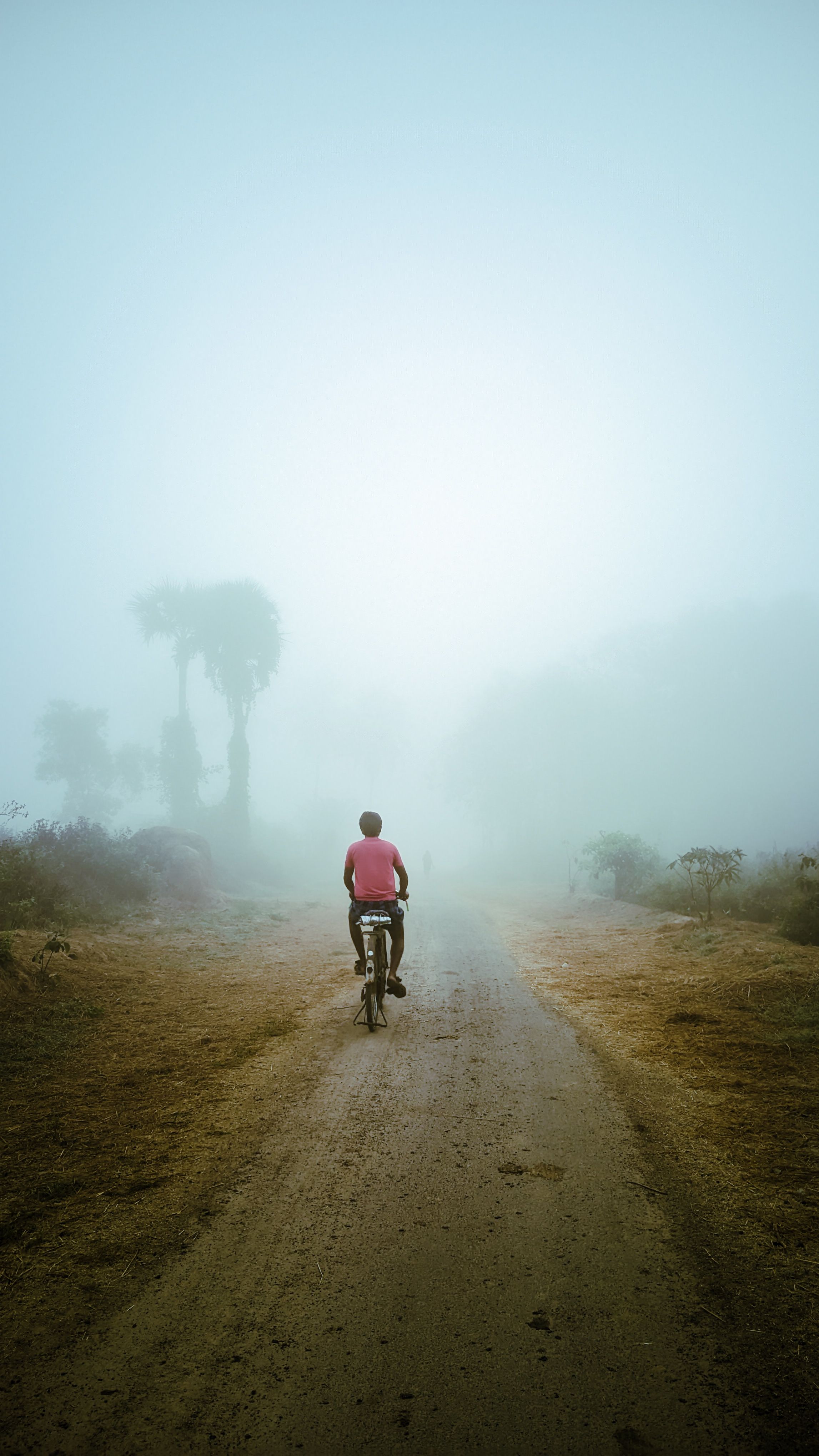 Solo Gratuito Photos, Download The BEST Free Solo Gratuito Stock Photos