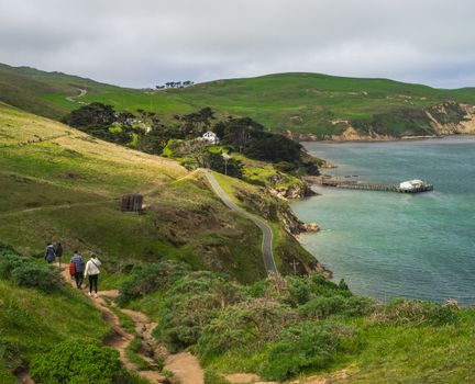 People hiking on a scenic coastal path through lush green rolling hills by the sea.