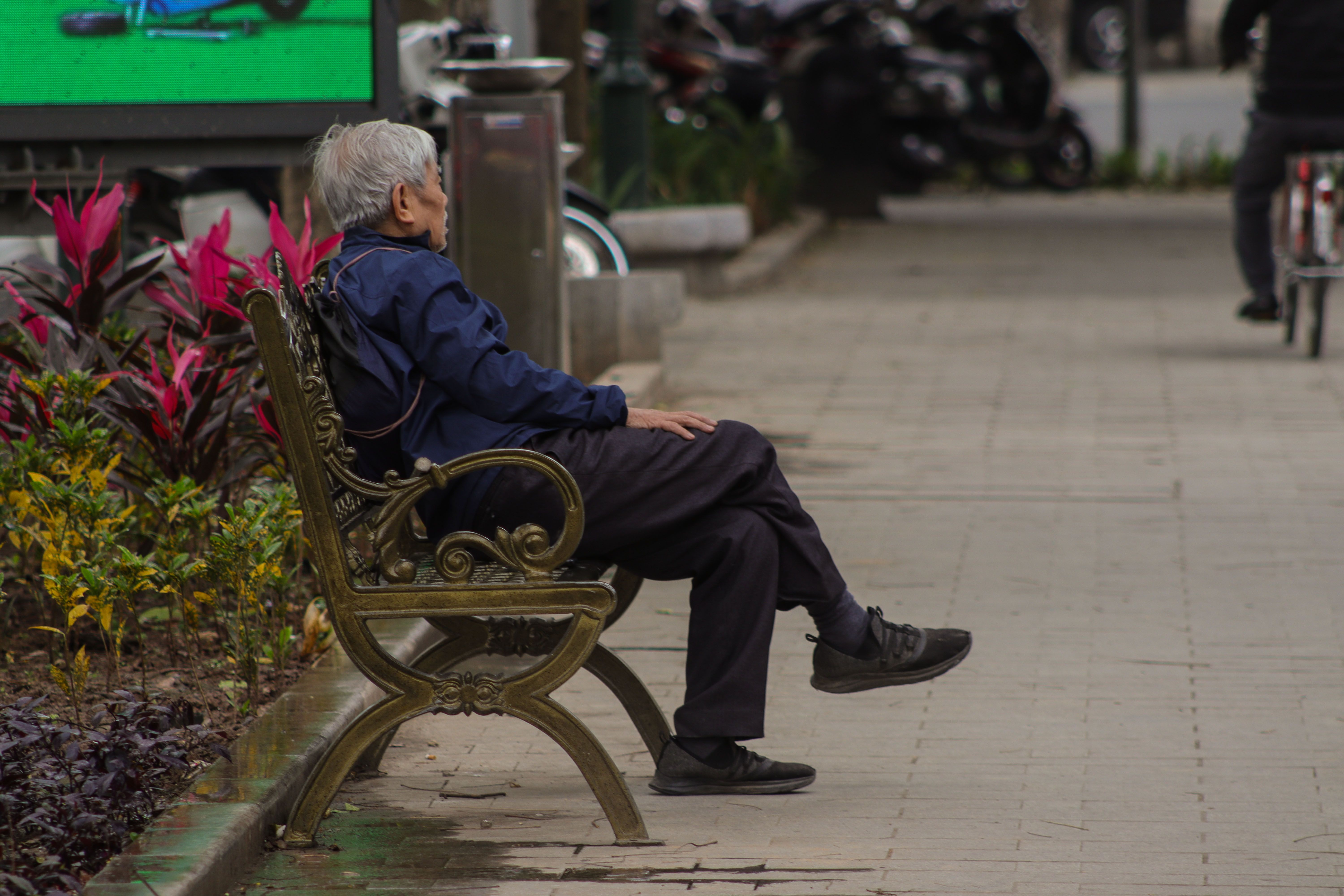 Senior Man Sitting Alone on a Park Bench Outdoors · Free Stock Photo