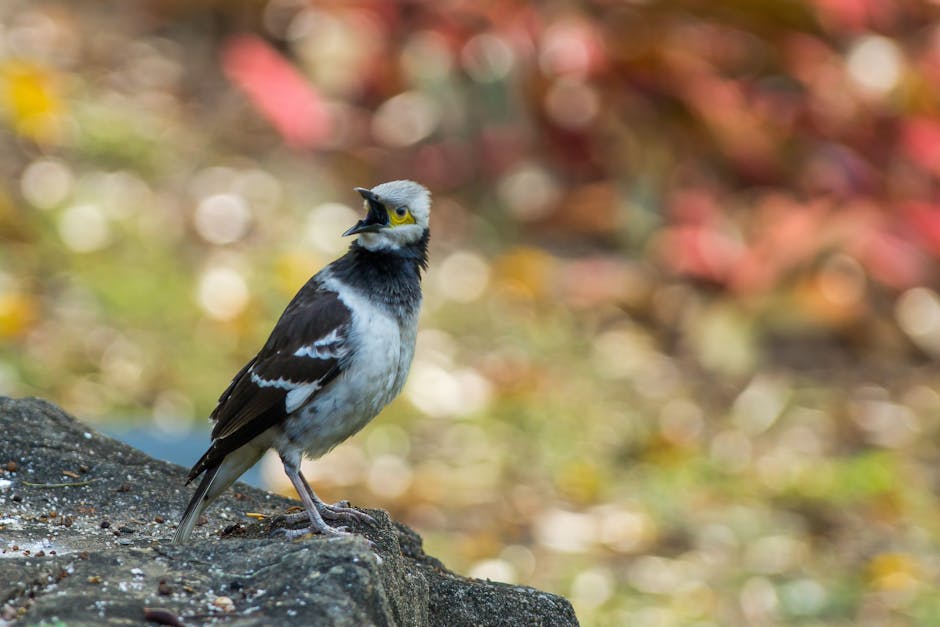 Jika Semua Cara Sudah Dicoba: Panggil Tukang Servis! Jika Semua Cara Sudah Dicoba: Panggil Tukang Servis!