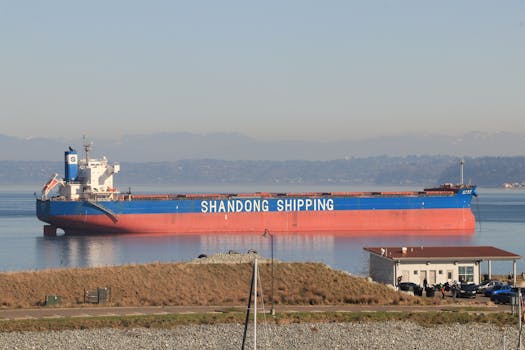 Cargo ship 'Shandong Shipping' docked in Seattle, showcasing serene waters and mountain backdrop.