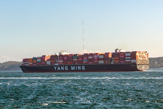 Yang Ming cargo ship loaded with containers sailing on a sunny day.