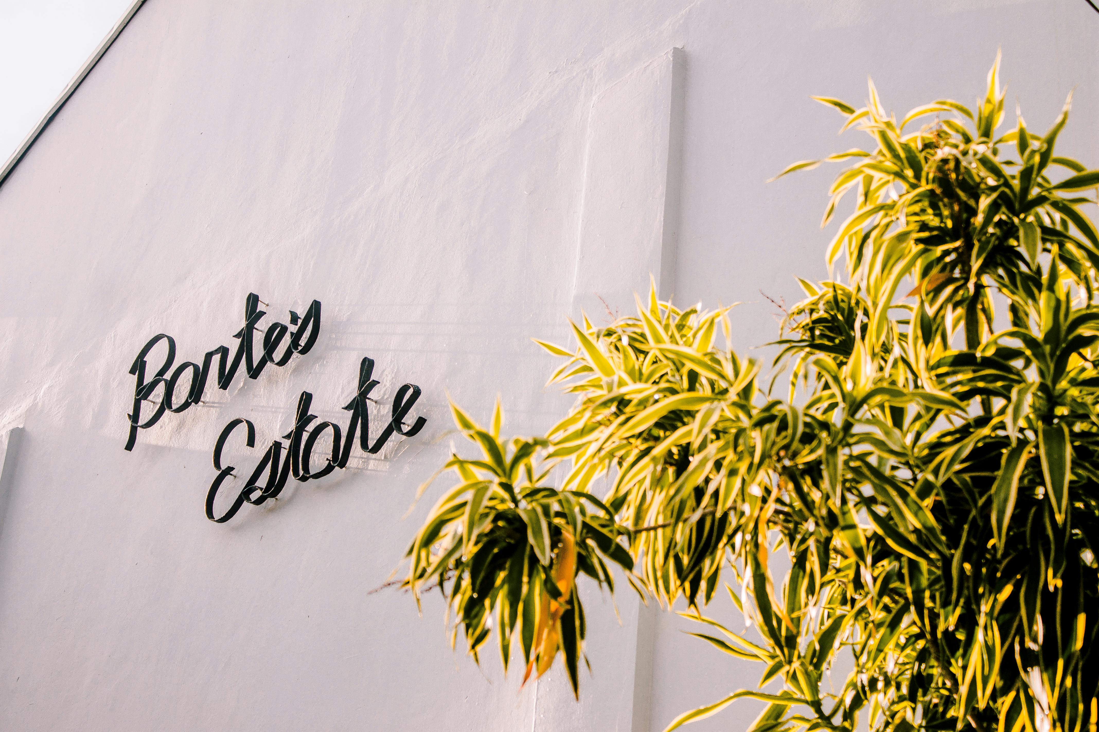 这座建筑立面阳光明媚，绿植郁郁葱葱，标牌优雅，坐落于宁静的户外环境中