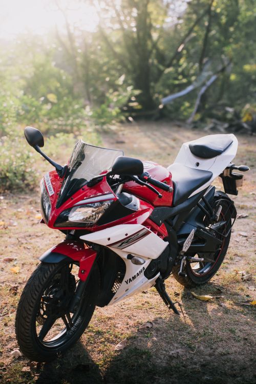 Free Vibrant red and white motorcycle parked in a sunlit forest. Stock Photo