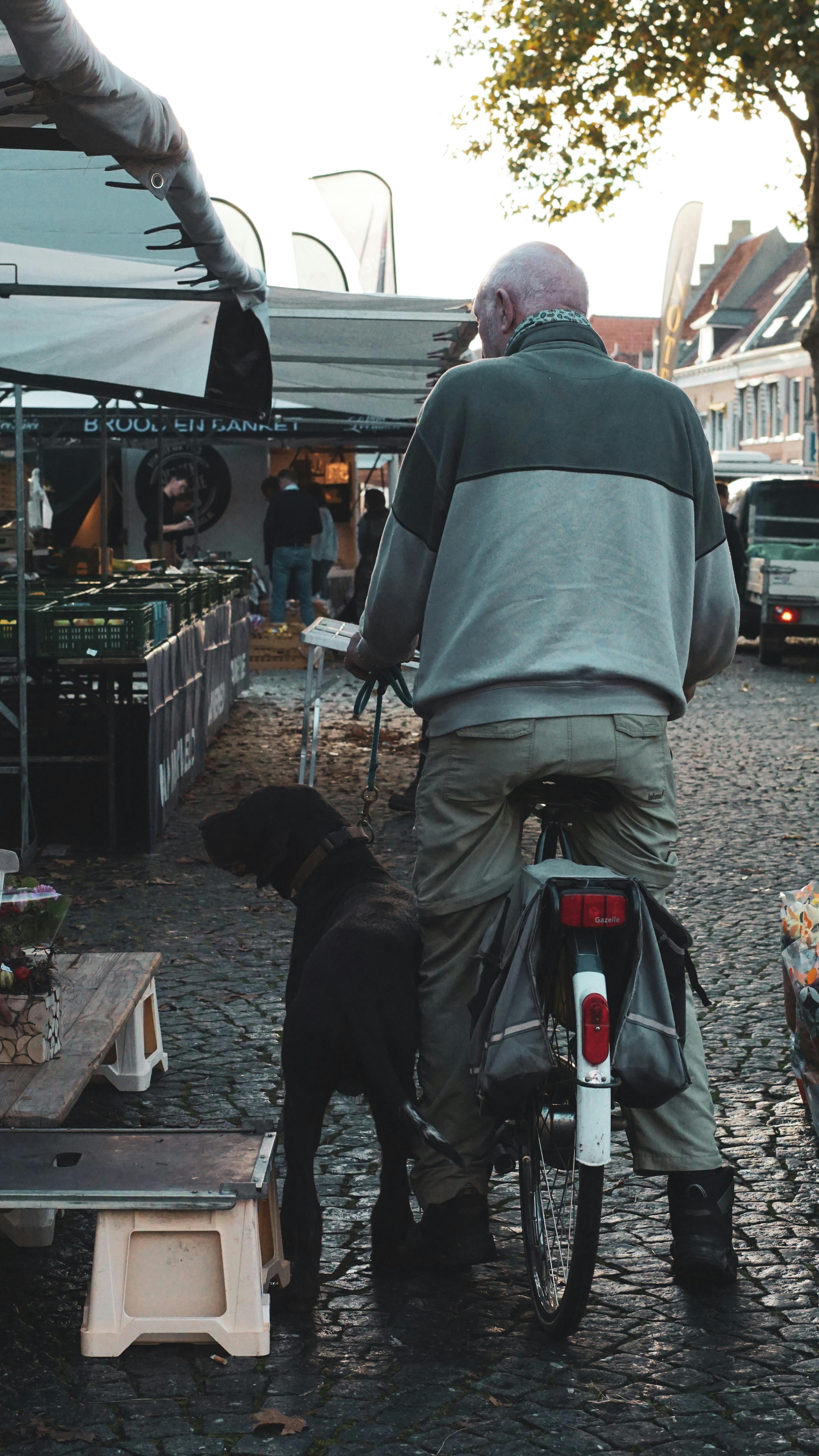 Creating Routine and Structure (image credits: pexels)