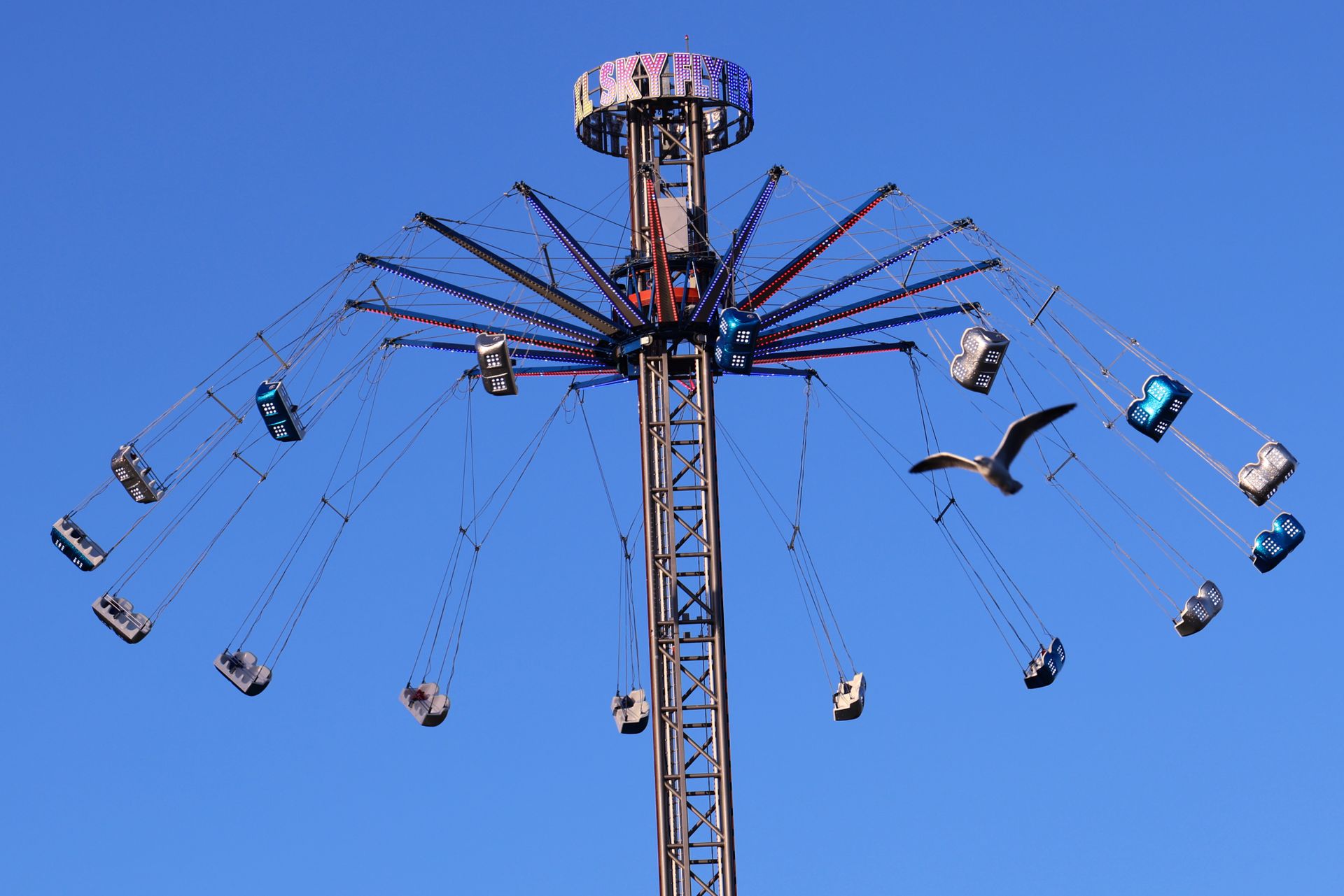 High-angle view of Sky Flyer amusement ride with a seagull in flight against clear blue sky.