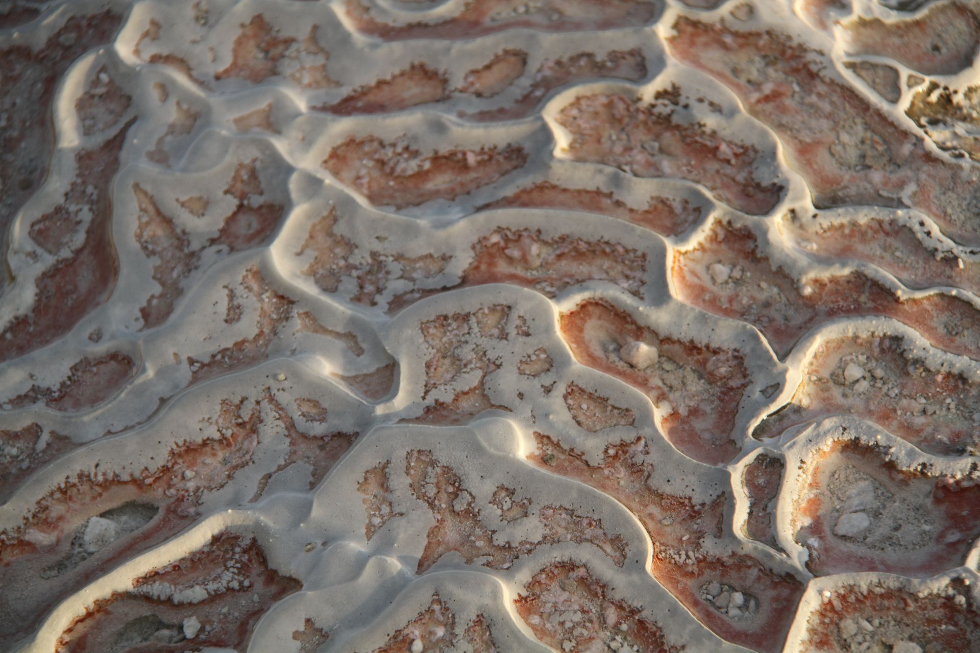 Close-up of unique mineral formations in Greece, showcasing intricate textures and patterns.