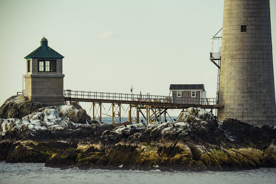 Complete Guide to Common Mistakes to Avoid When Applying for a Loan - Ilustrasi Tambahan