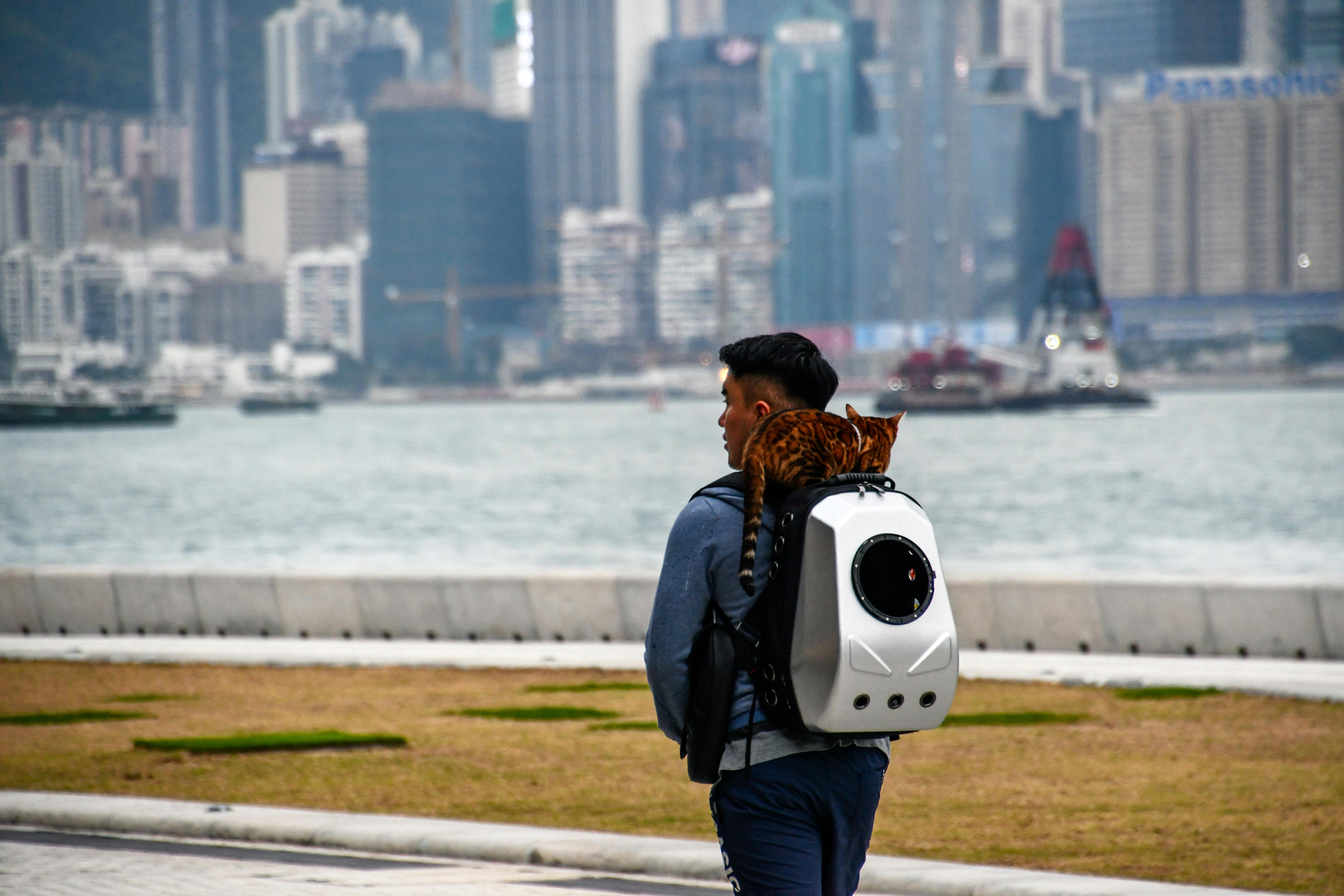 Man walking with cat in backpack against city skyline by water.
