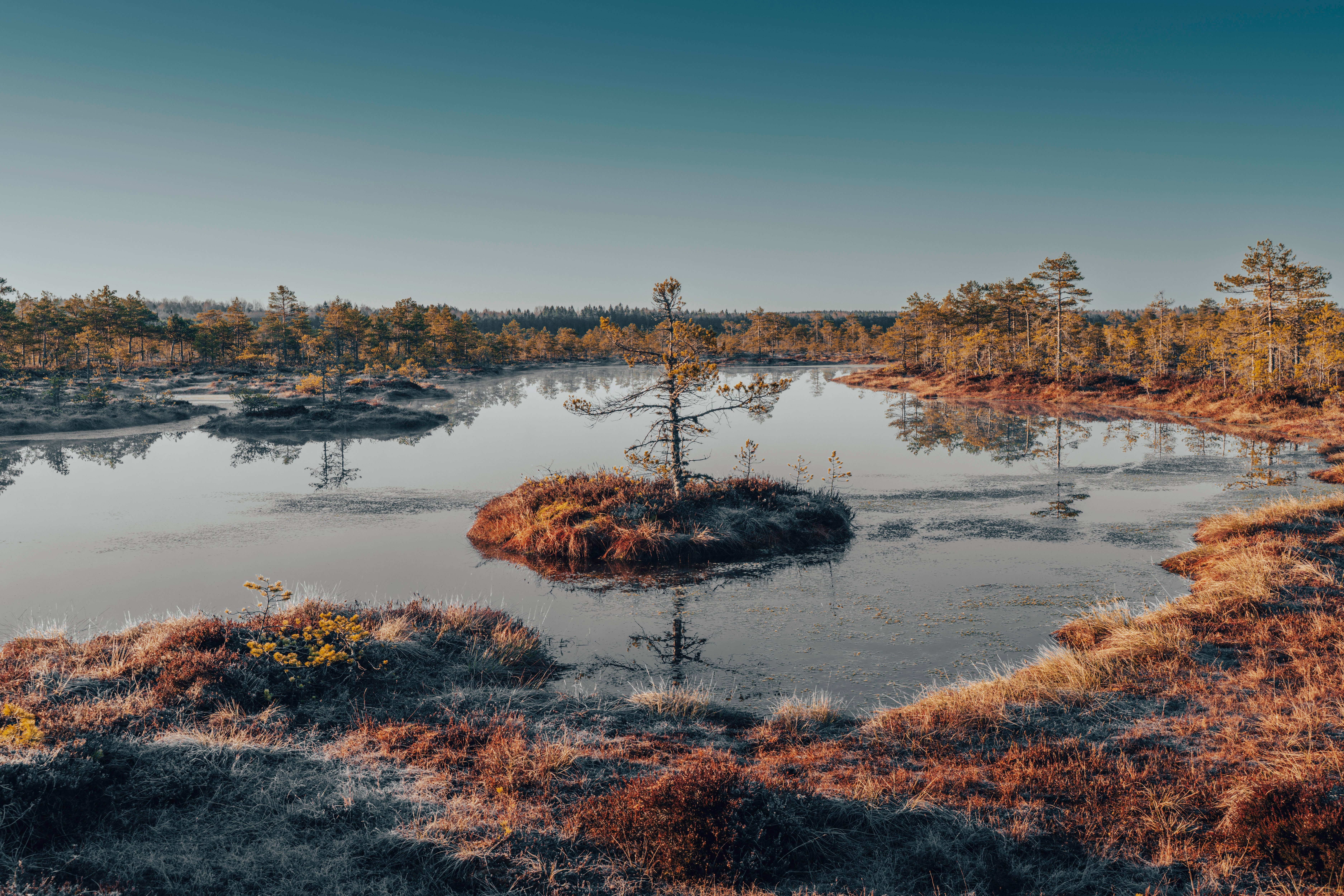 Serene autumn view of a tranquil bog in Pillapalu, Estonia.