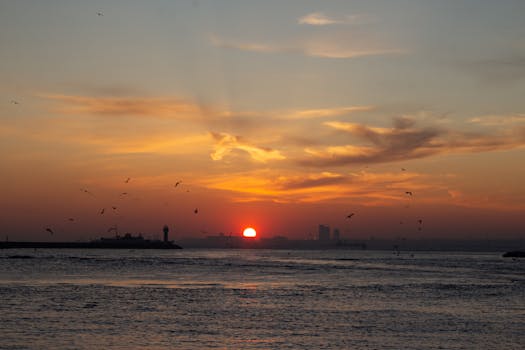 Serene sunset view over the ocean with birds and distant lighthouse silhouettes.