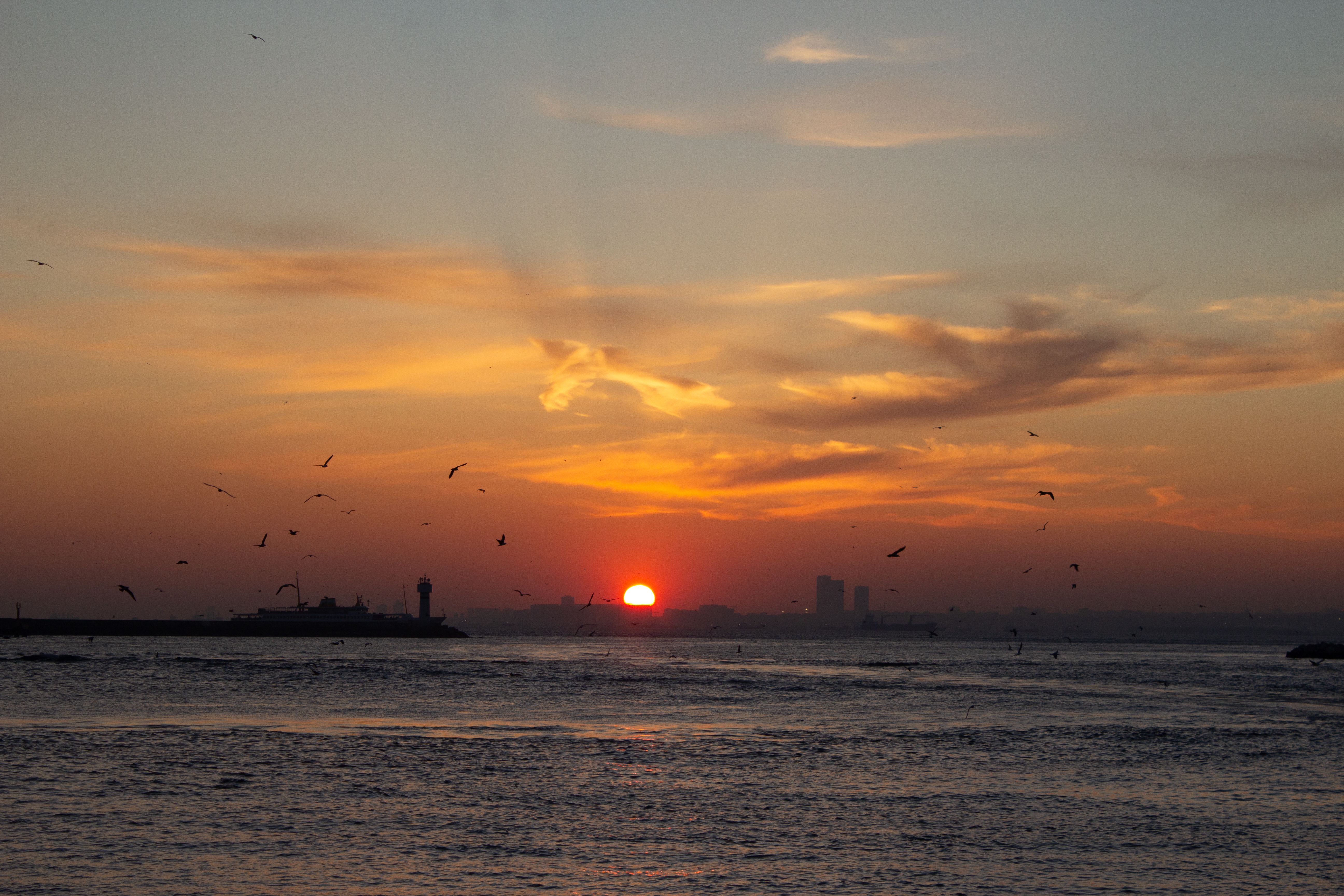 Ocean Sunset with Birds and Silhouetted Lighthouse · Free Stock Photo