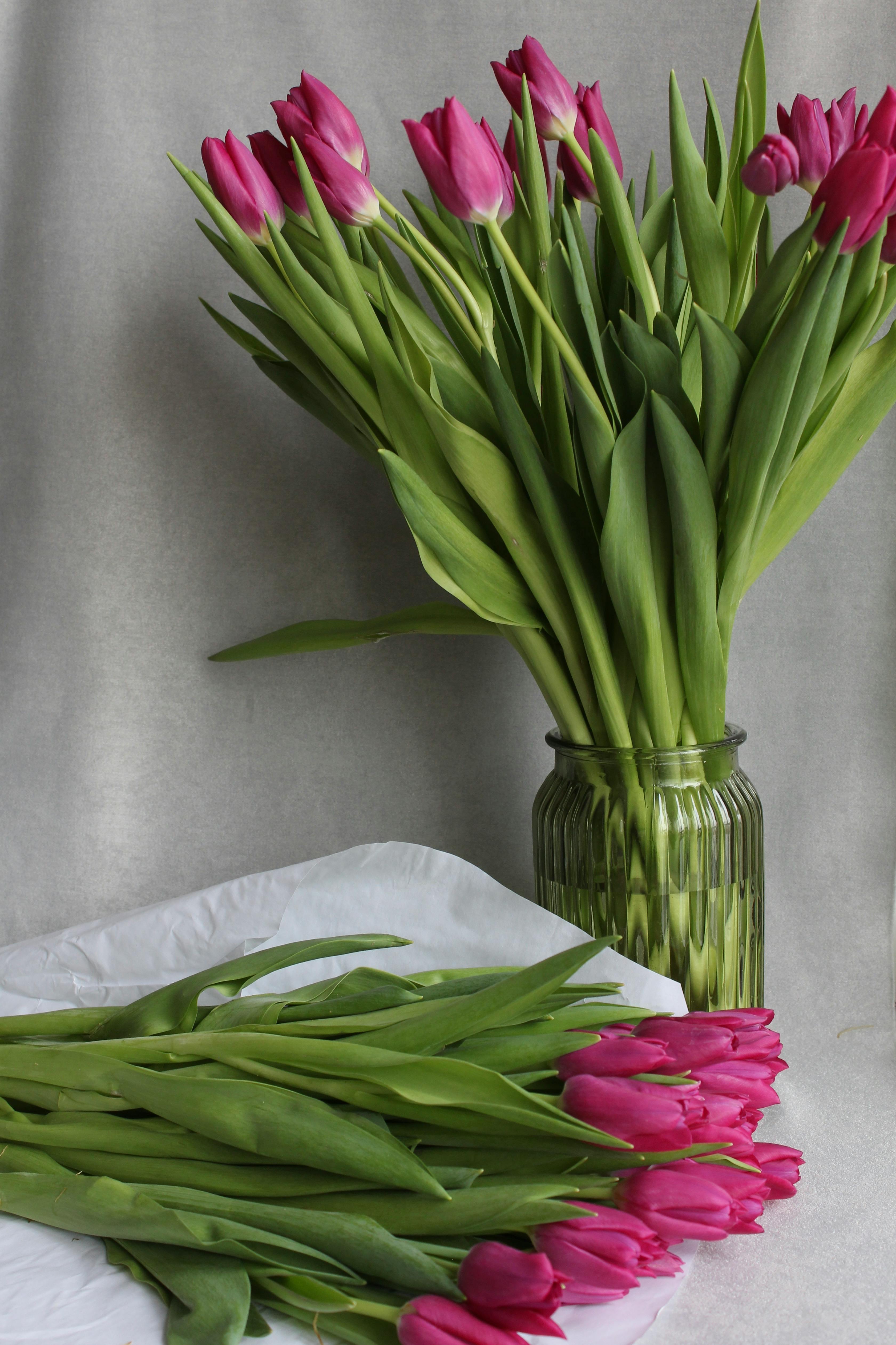 Aesthetic arrangement of pink tulips in a glass vase on top of white fabric.
