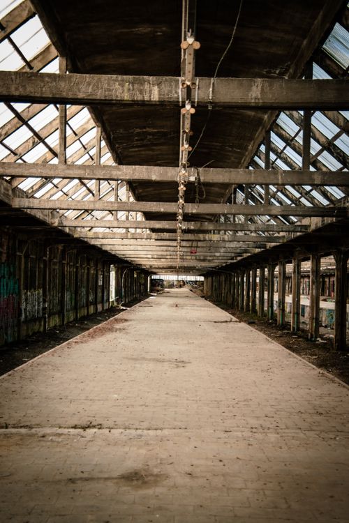 Free An eerie, decaying train station filled with vines and graffiti. Stock Photo