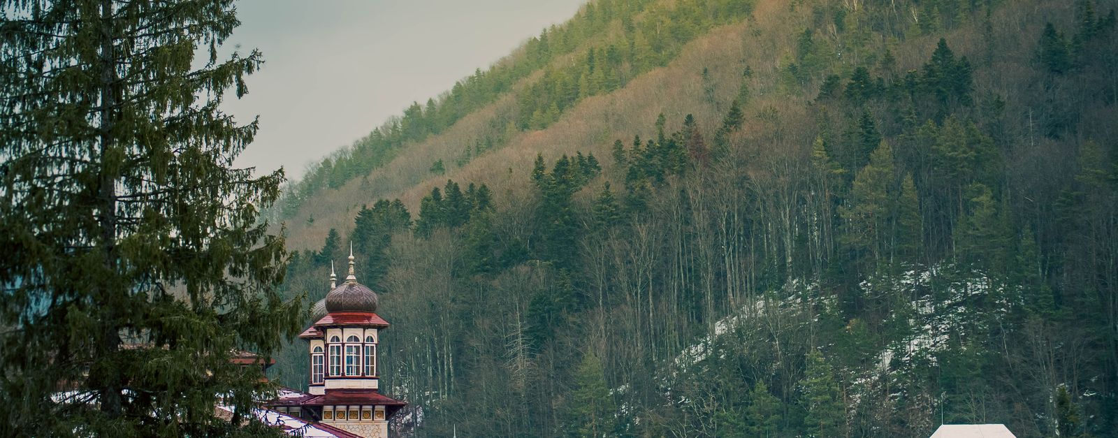 Traditional Romanian building nestled amidst lush forested hills in Romania.