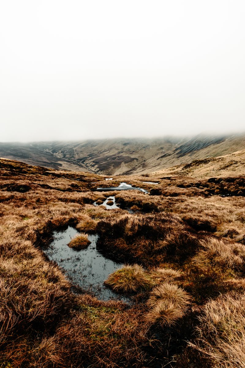 Scotland