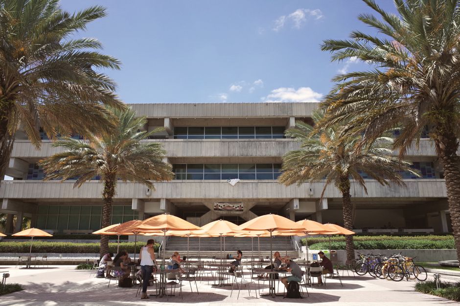 Outdoor scene of university campus life in Coral Gables, Florida featuring students studying under palm trees.