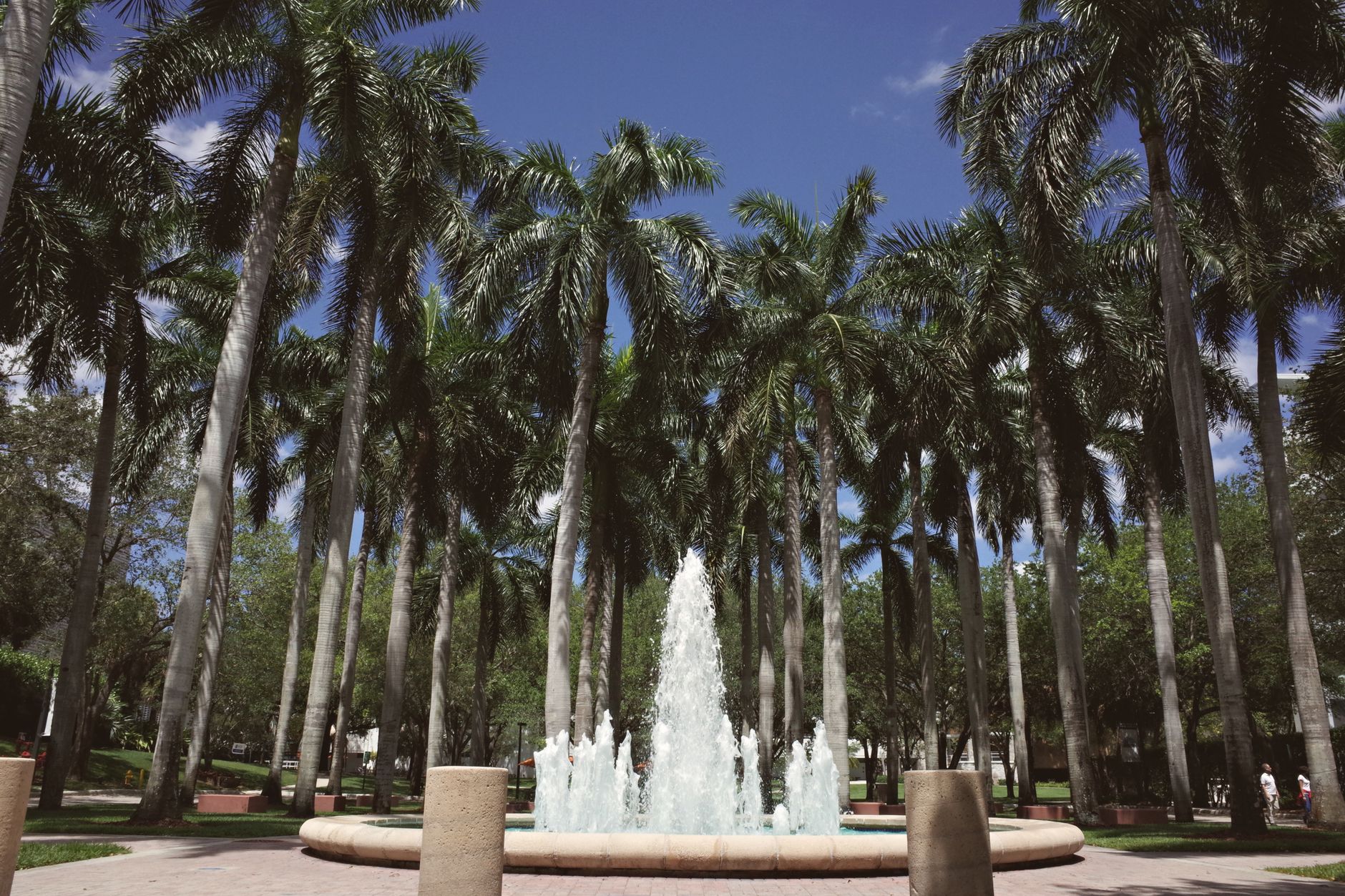 A serene fountain surrounded by tall palm trees at a university campus in Coral Gables, Florida.