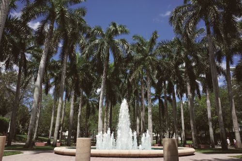 Free A serene fountain surrounded by tall palm trees at a university campus in Coral Gables, Florida. Stock Photo