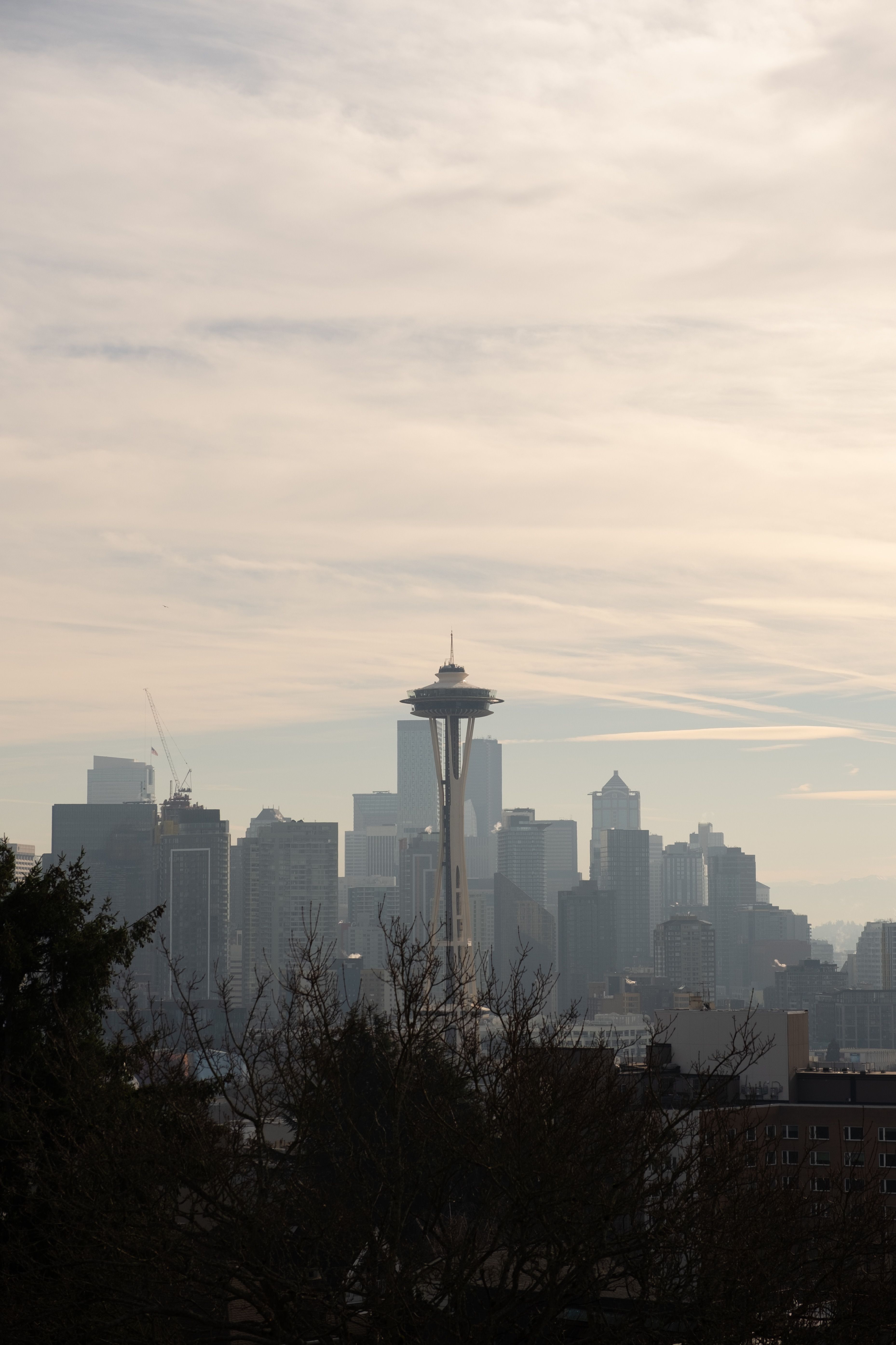 Expanding technology companies choose Seattle for access to specialized digital talent and growth opportunities