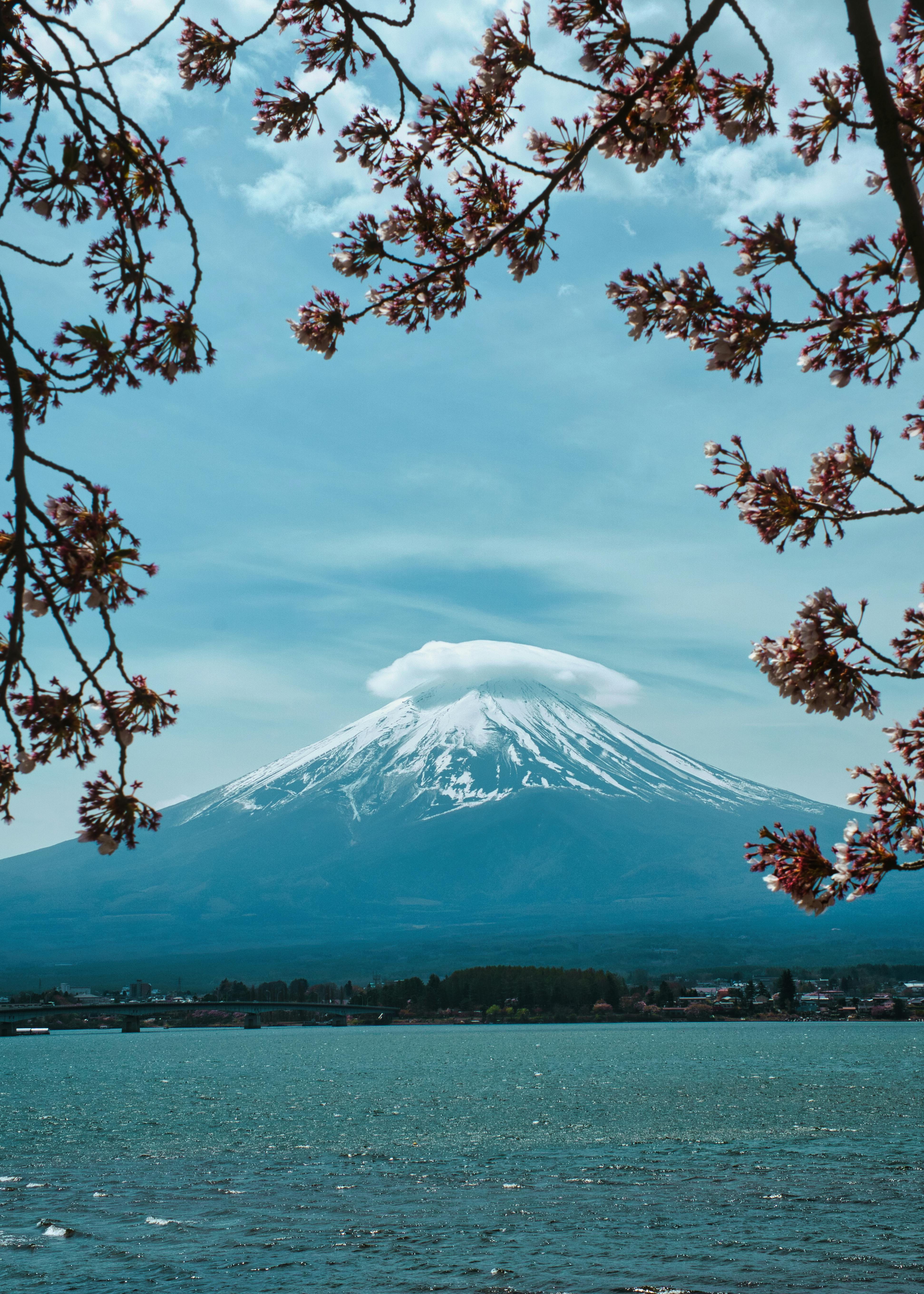 Serene view of Mount Fuji framed by cherry blossoms over a lake, showcasing Japan's natural beauty.