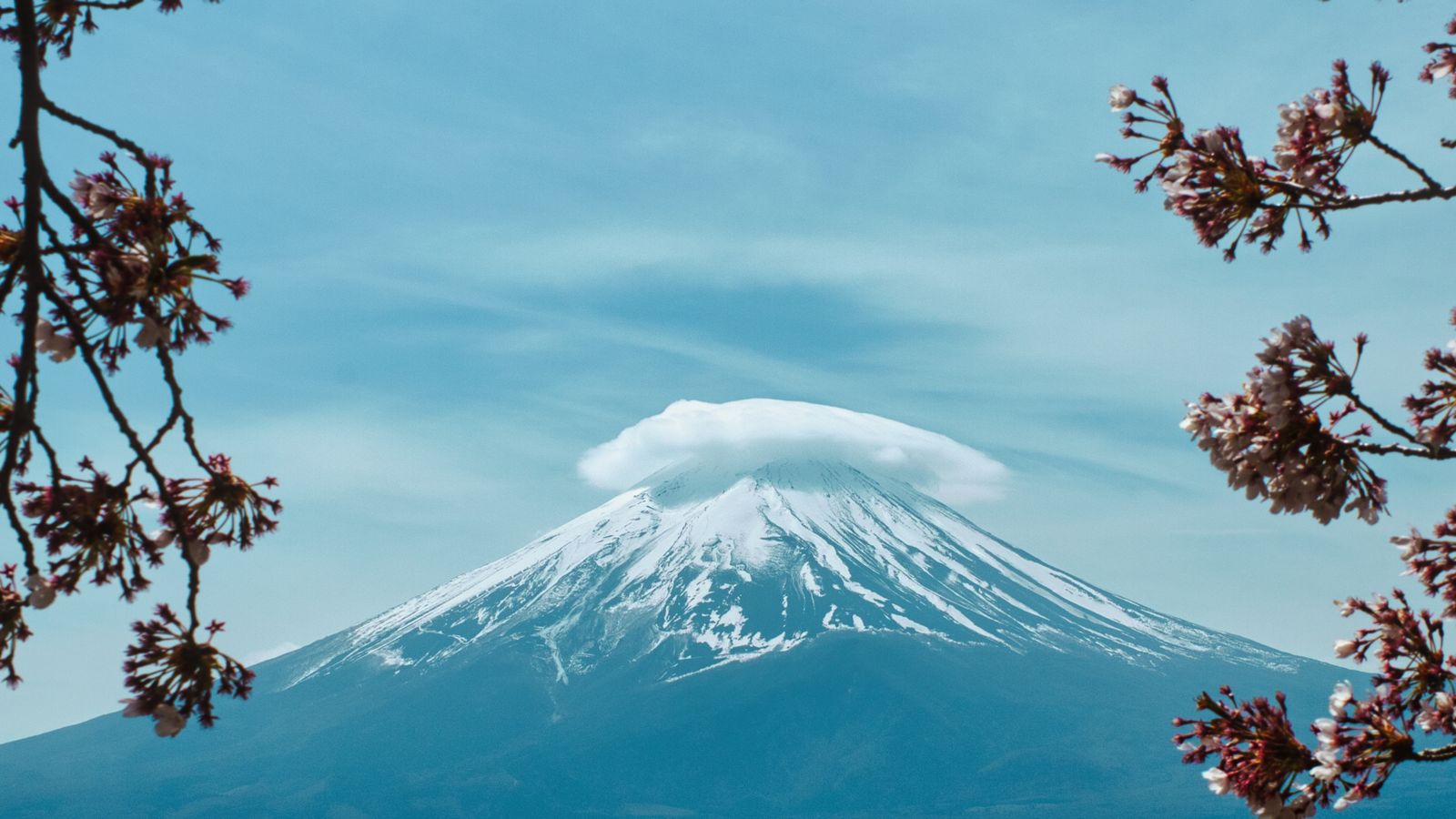 Gunung Fuji dan sakura untuk panduan single multiple visa Jepang