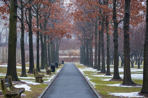 Free Peaceful city park in winter with bare trees and benches lining the snow-dusted pathway. Stock Photo