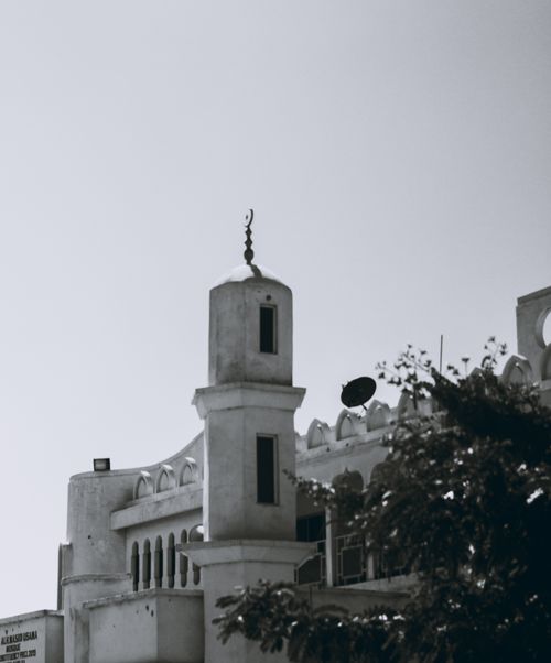 Free Black and white image of a mosque exterior with a clear sky and foliage in the foreground. Stock Photo