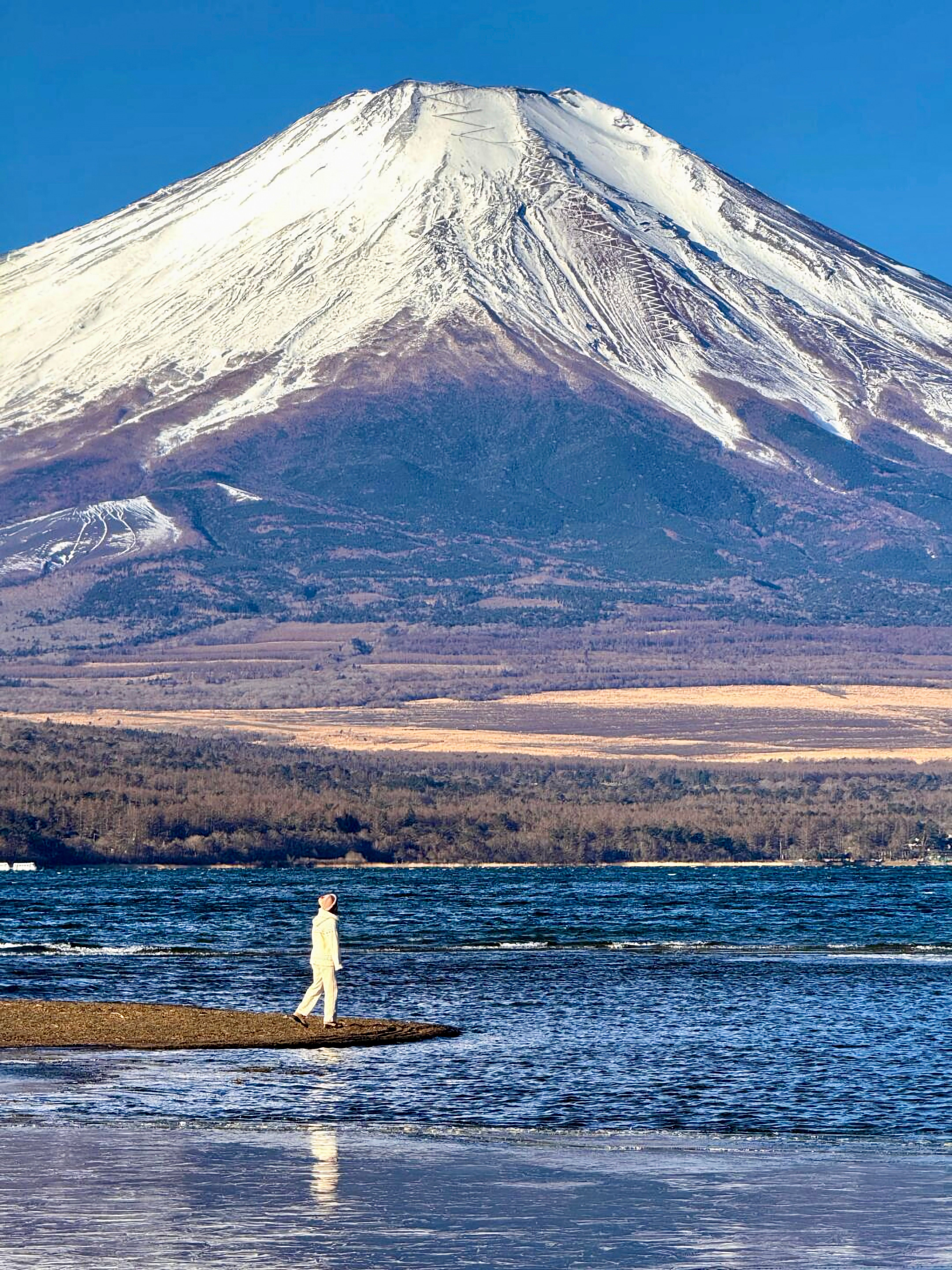 Snow-Capped Mount Fuji with Calm Lakeside View · Free Stock Photo