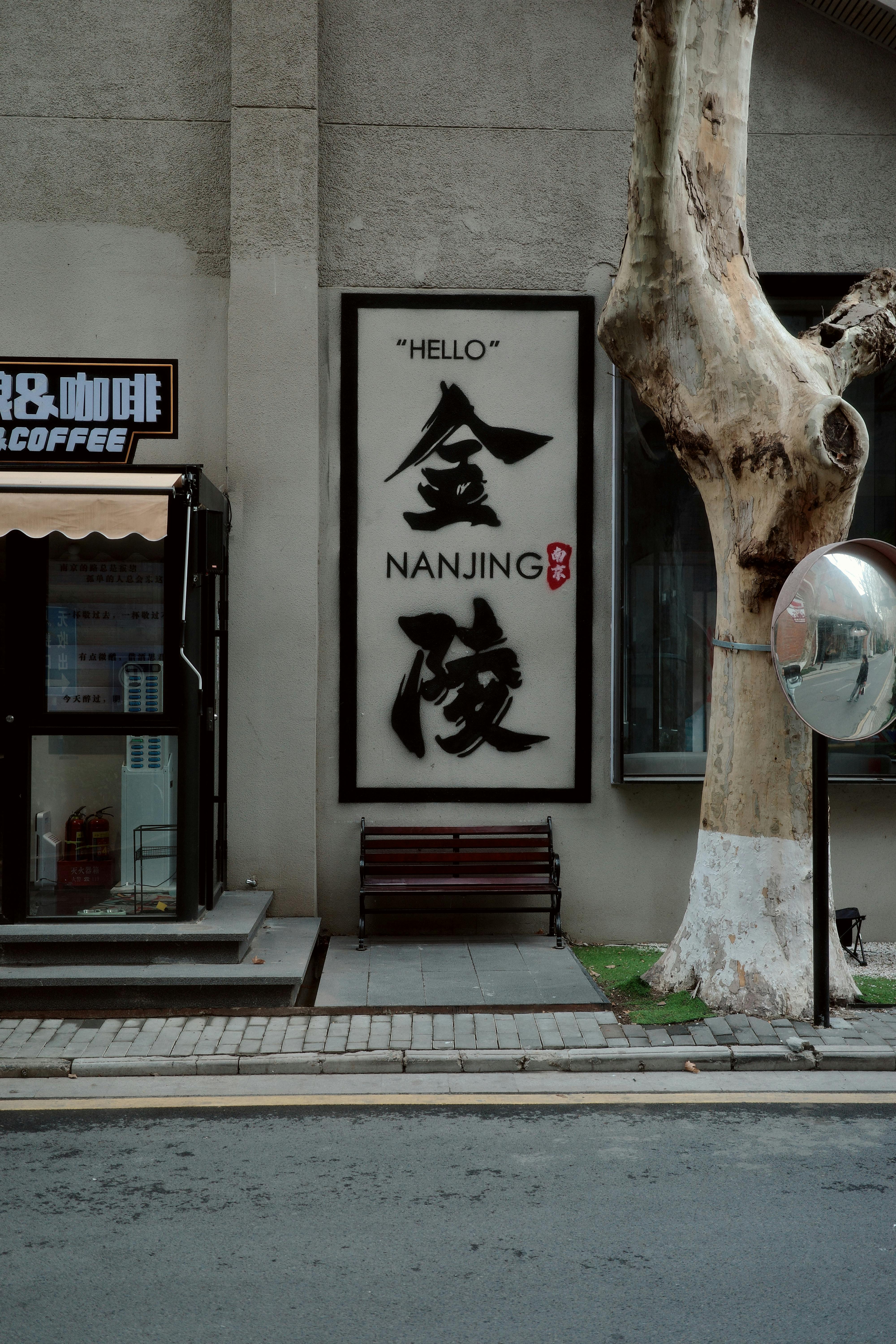 View of a street in Nanjing featuring signage, a tree, and a shop entrance.