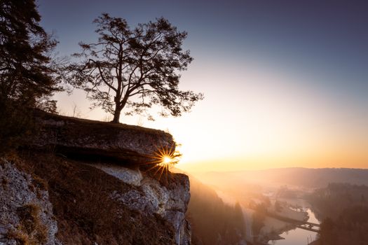 A stunning sunset casts warm tones over a lone tree on a rocky cliff edge, creating a serene landscape.