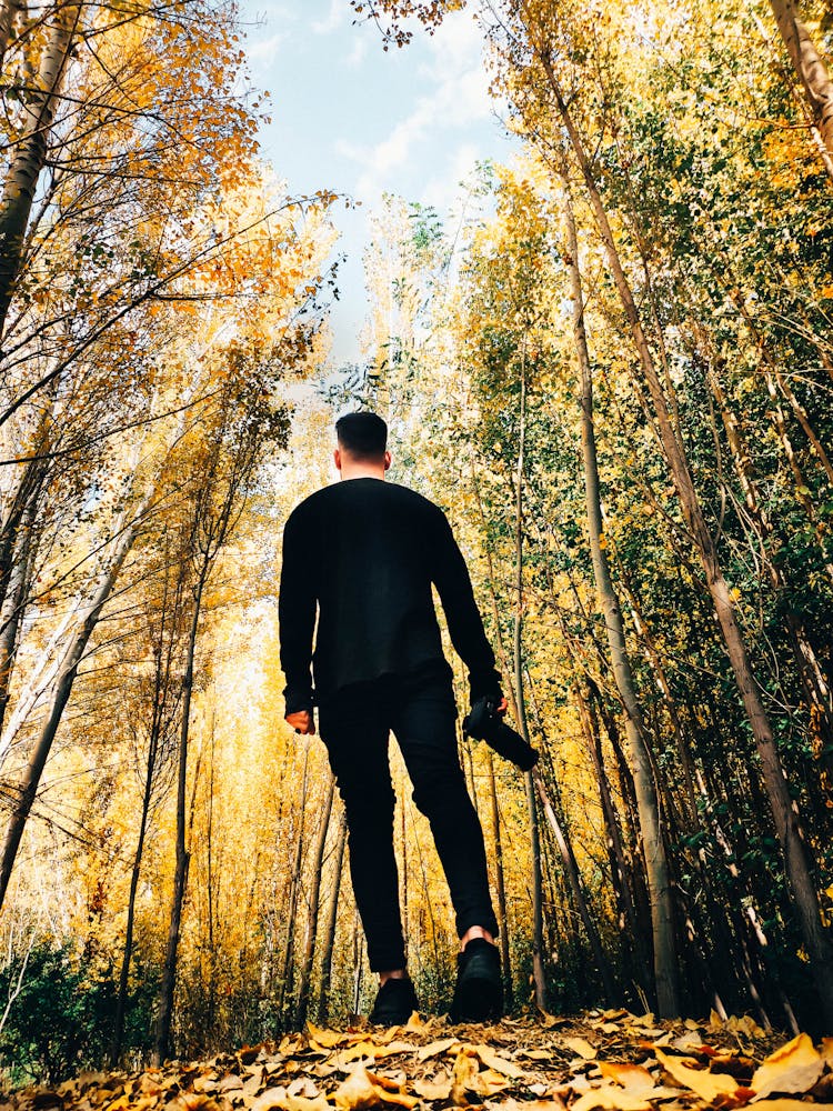 Man Walking In The Woods During Day