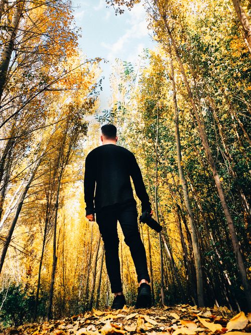 Man Walking through Path between Trees · Free Stock Photo
