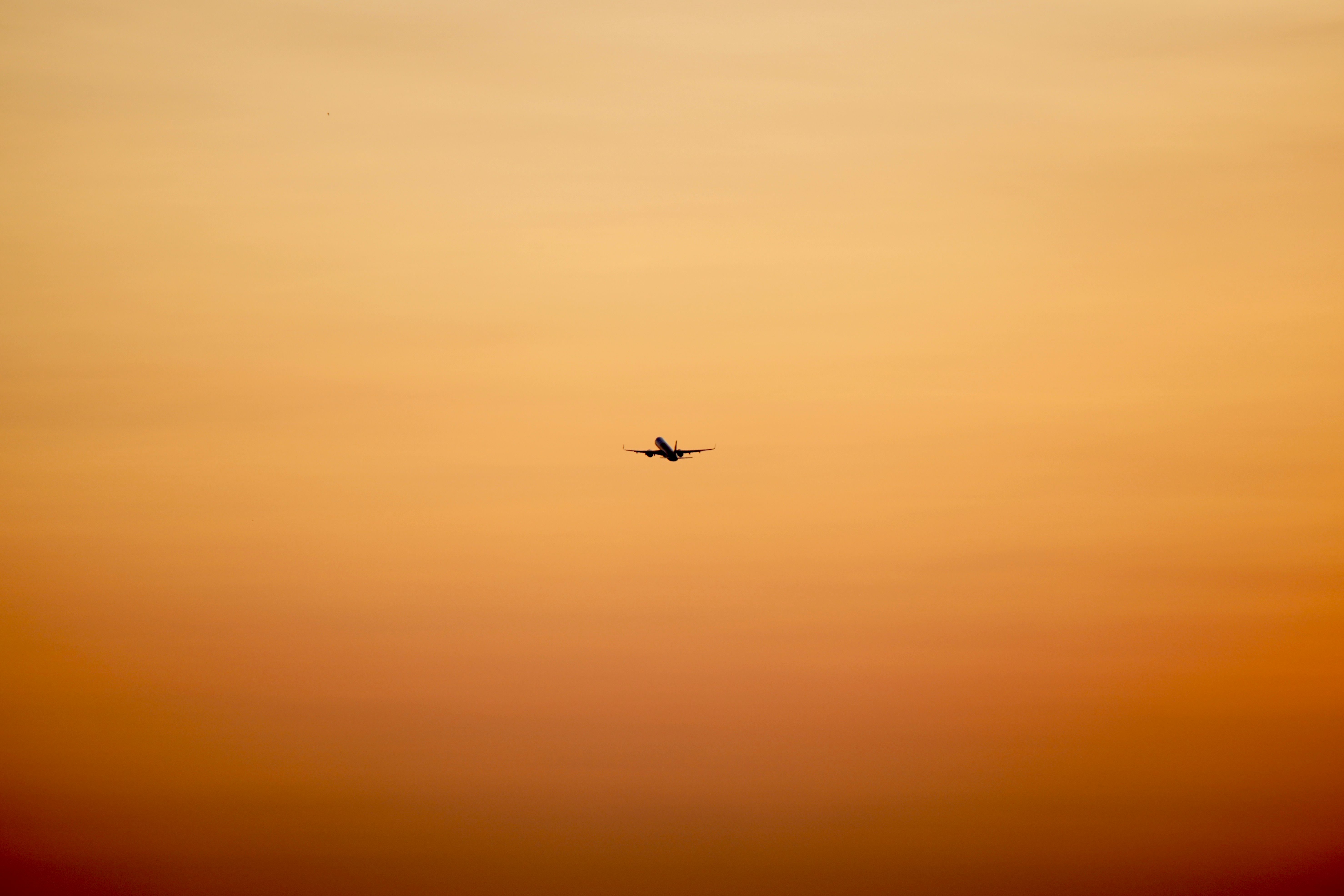 How to earn American Airlines AAdvantage miles — Photo by Tuan Vy on Pexels