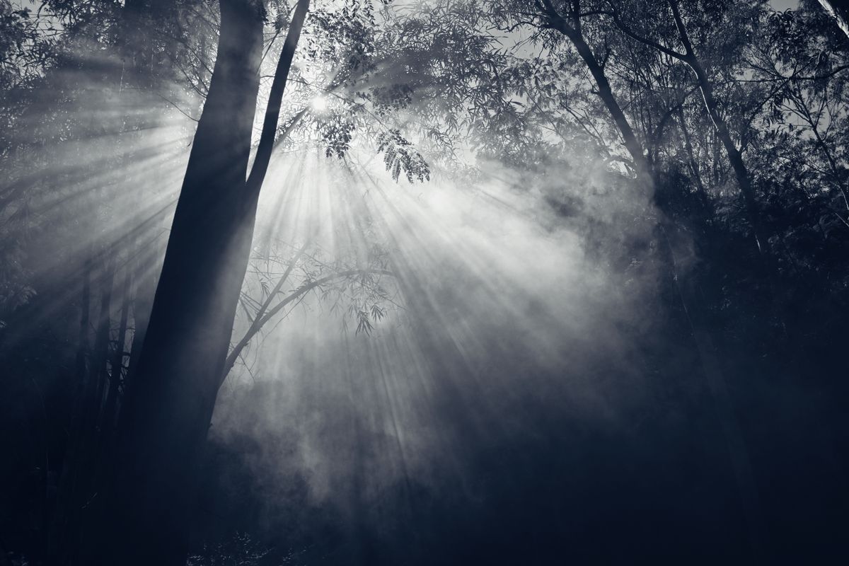 How to Focus With ADHD When Willpower and Standard Advice Don't Work (Romi ADHD blog)